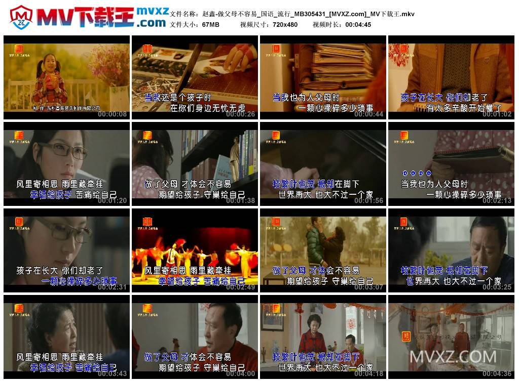 赵鑫-做父母不容易_国语_流行_MB305431